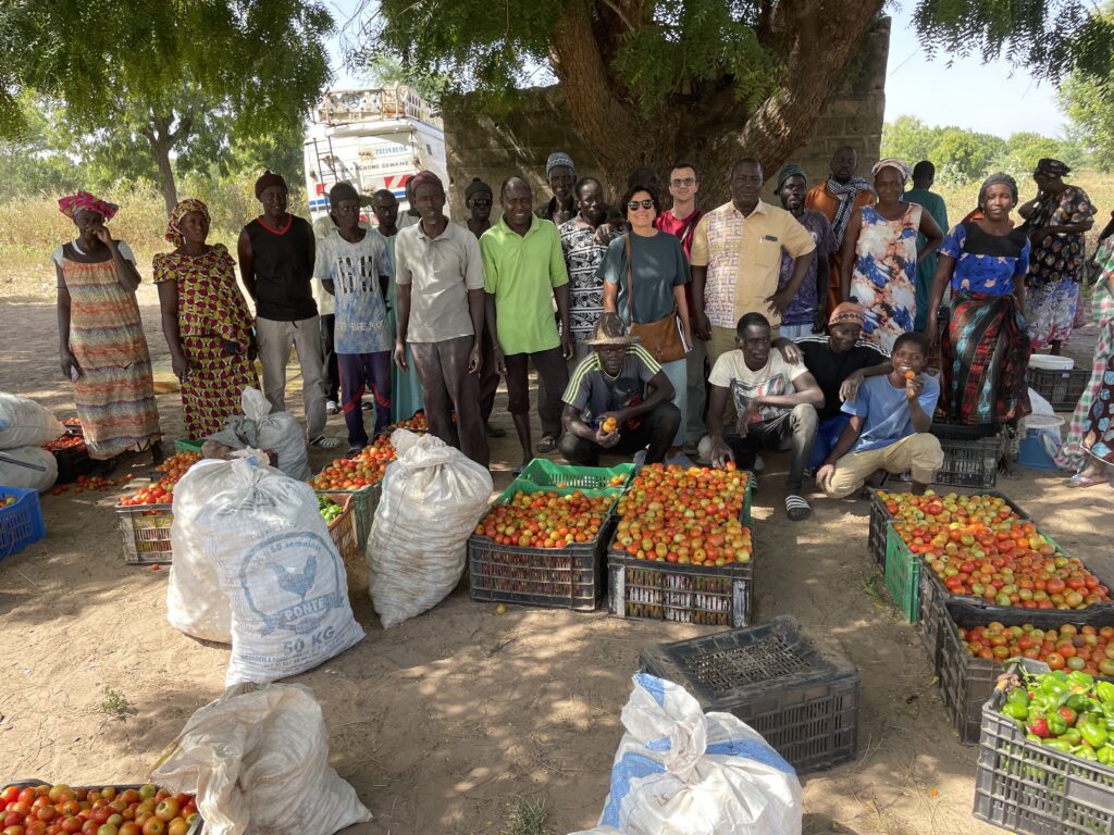 <strong>The social role of small enterprises in Senegal: the case of the PASPED Program</strong>